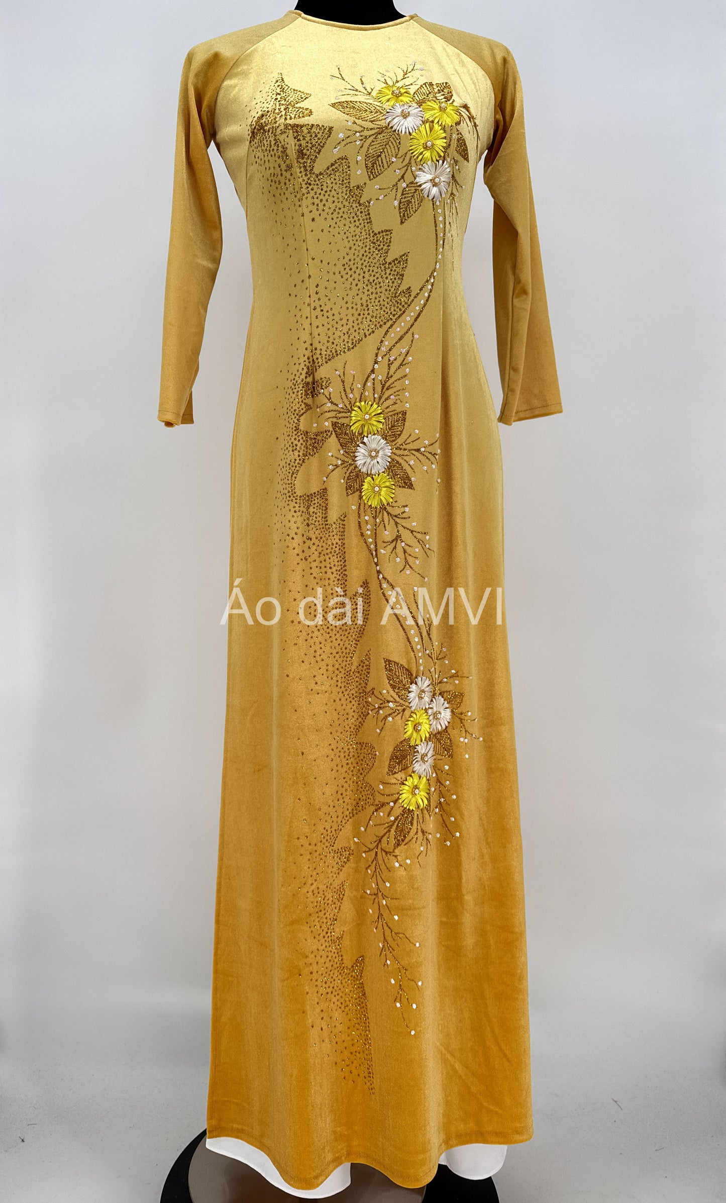 Dạ Hội