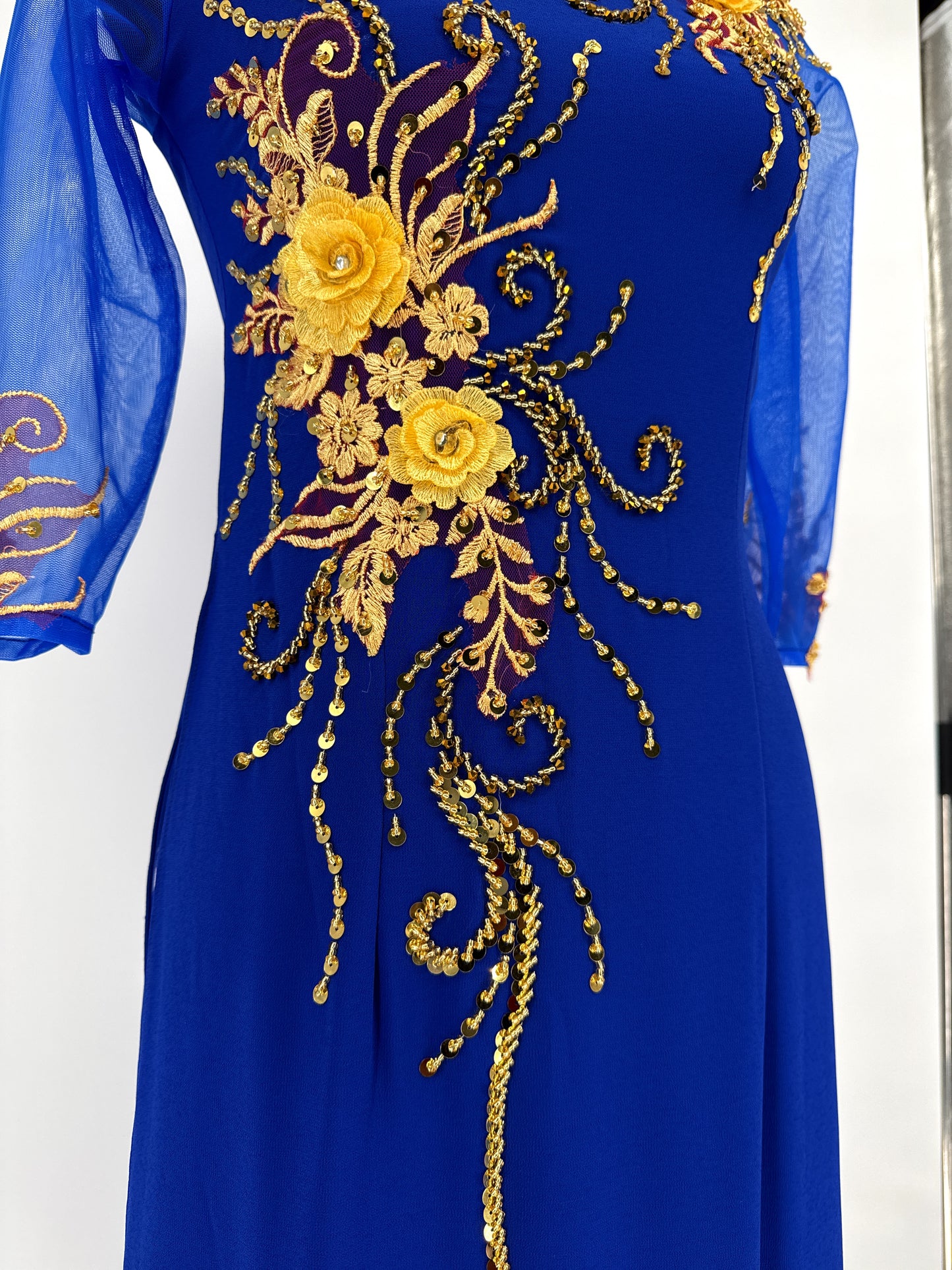 Dạ Hội